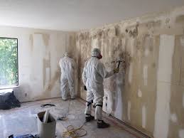 Best Post-Construction Mold Inspection  in USA